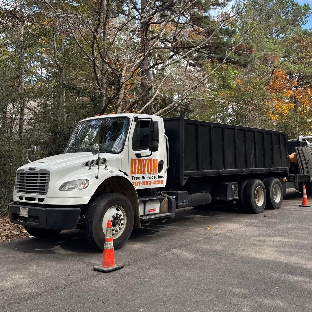 Storm cleanup service