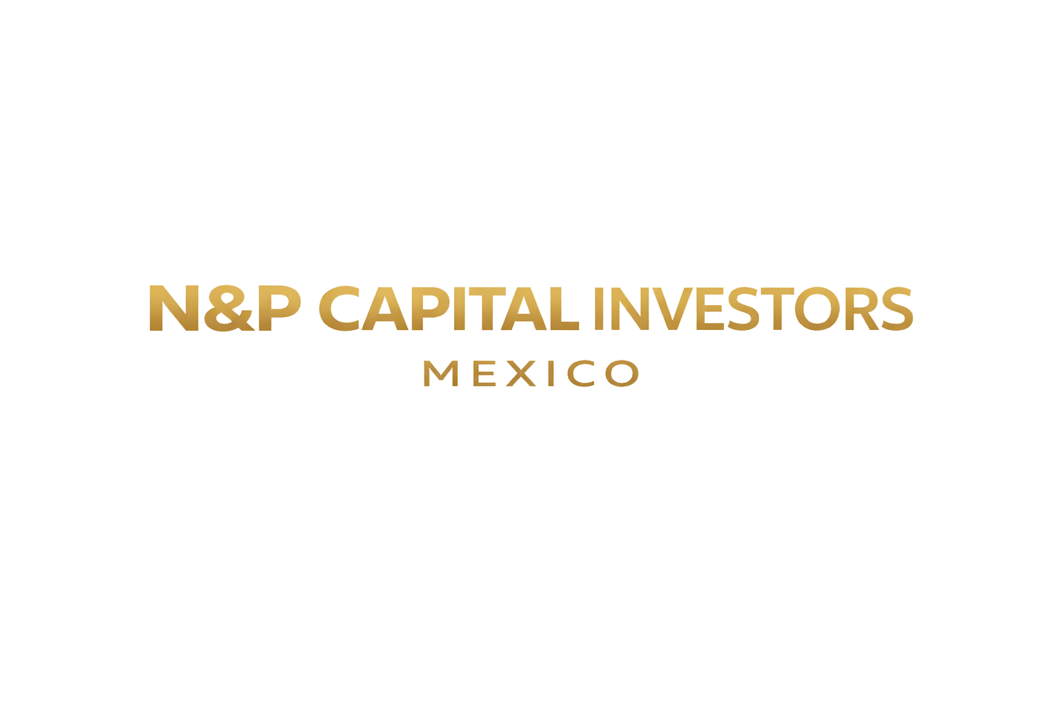 N&P CAPITAL INVESTORS MEXICO