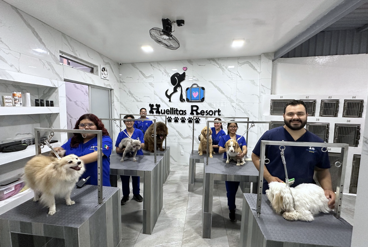 Cortes Profesionales - Huellitas Resort