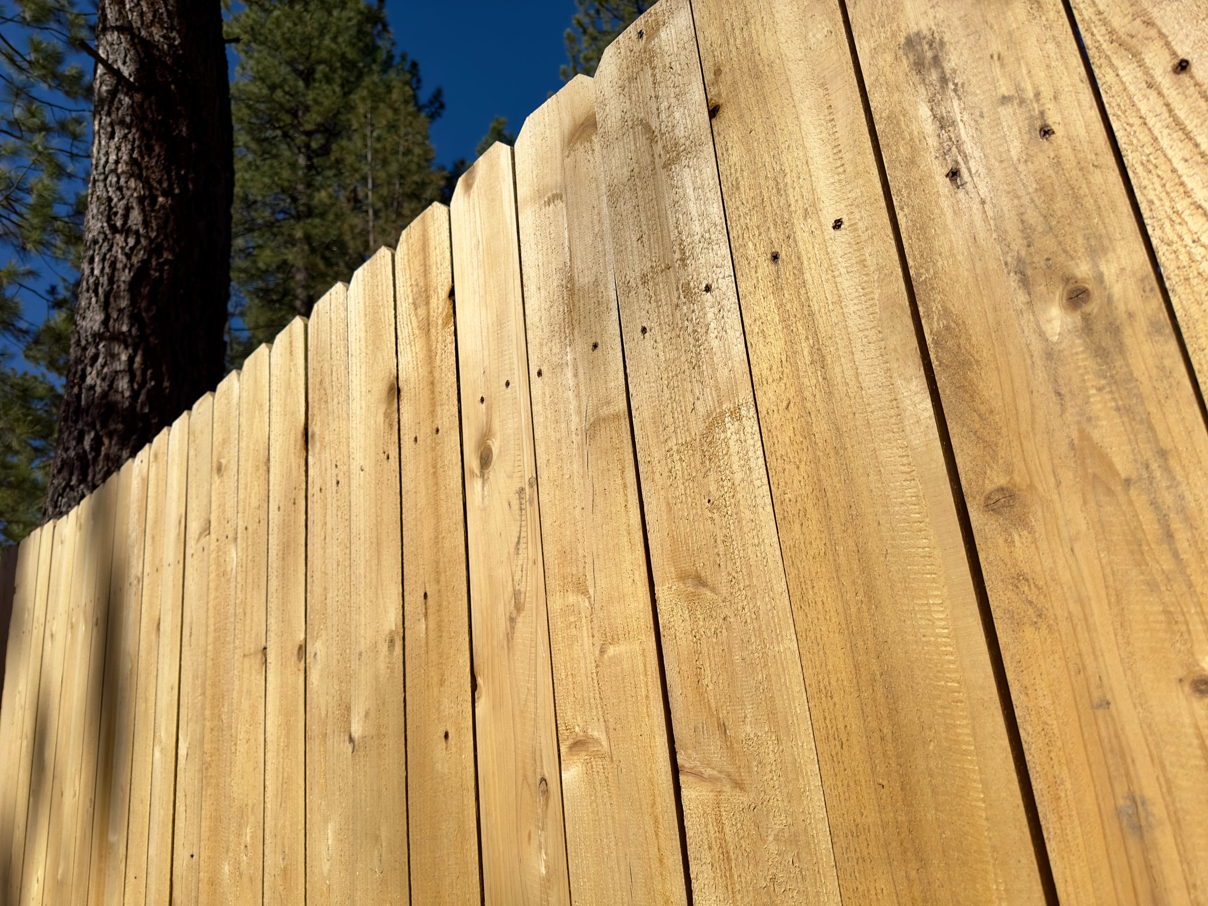 A sturdy, rustic wooden fence enclosing a tranquil backyard, adding charm and privacy, blending seamlessly with nature's beauty.