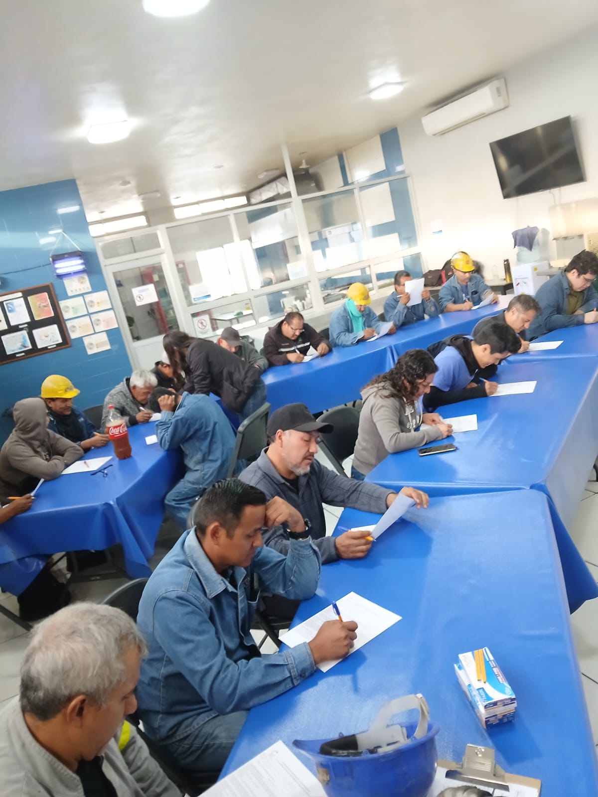 WhatsApp Image profesional