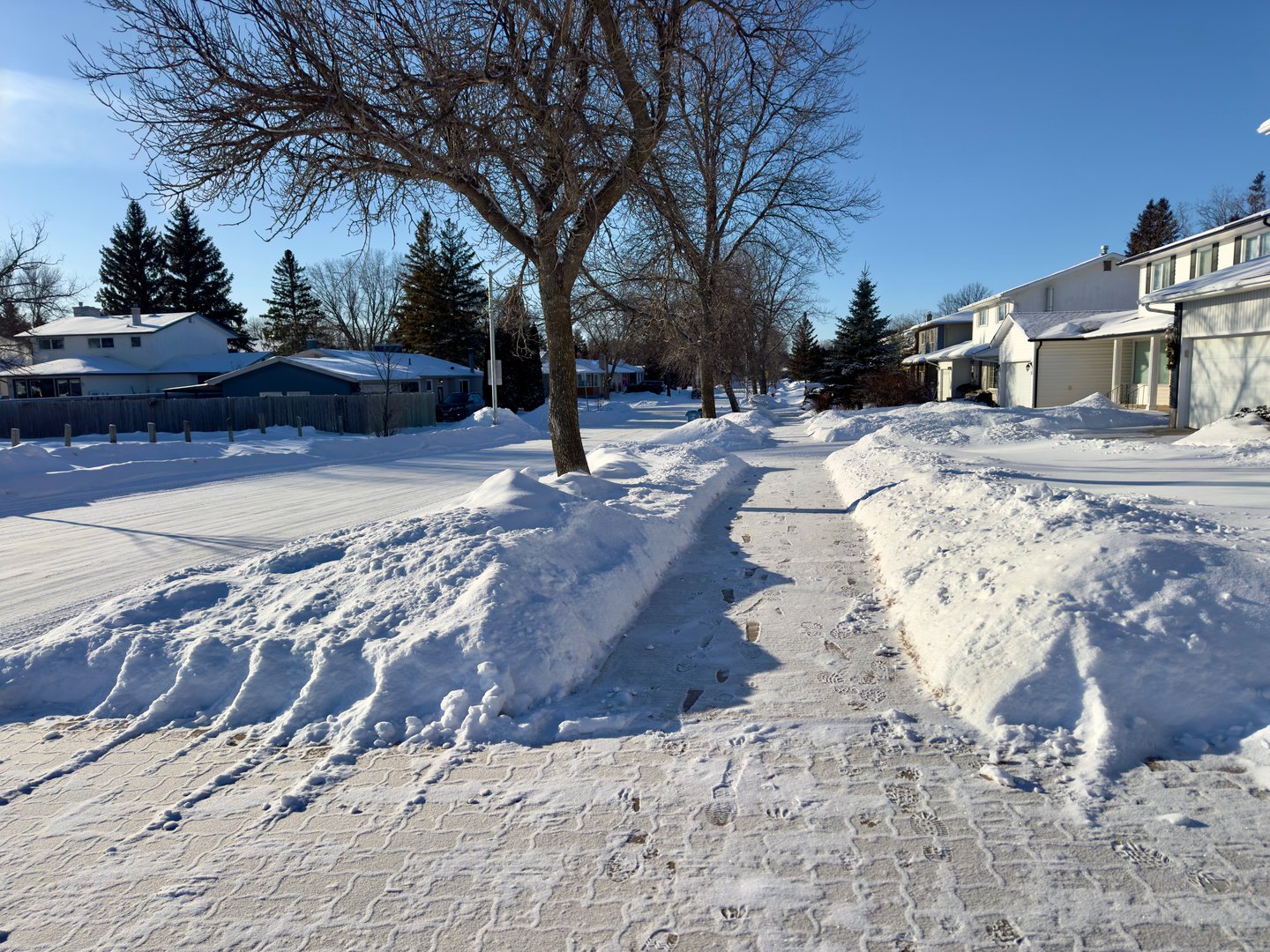 snowy street on a sunny winter day, trees lining the road, and a bright sun shining in the sky