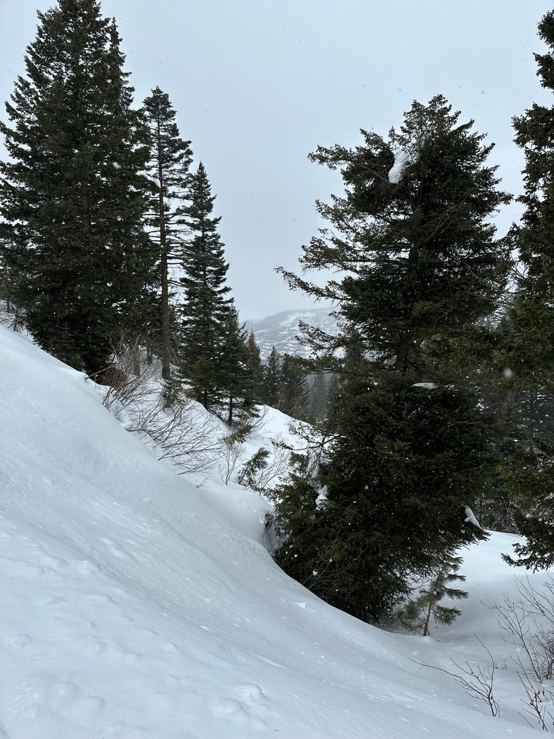 Snowmobile adventure