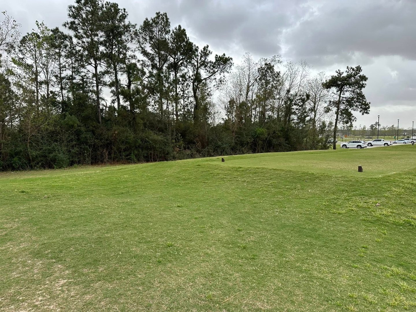 Before land clearing