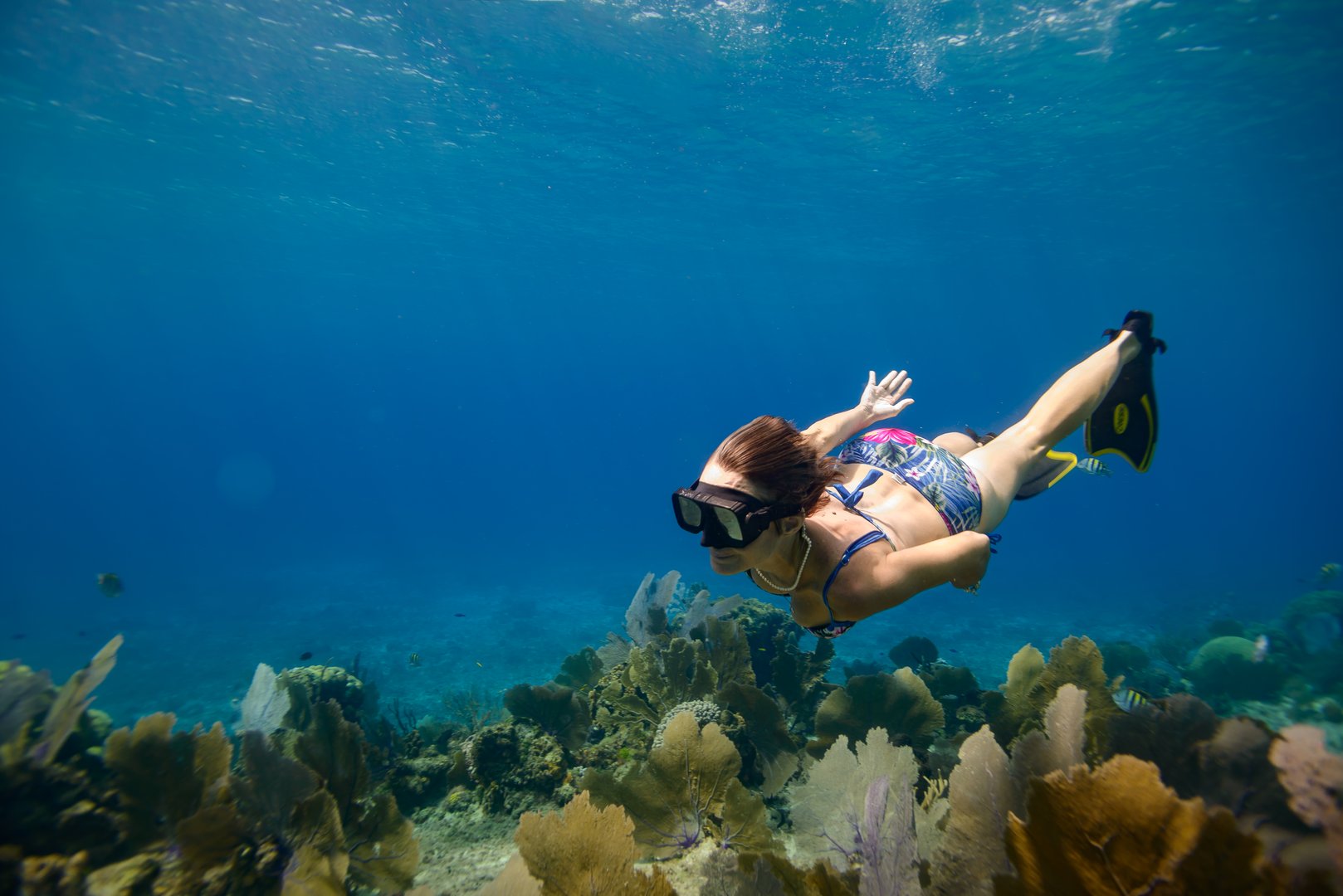 underwater woman swimming in cozumel, mexican caribbean
