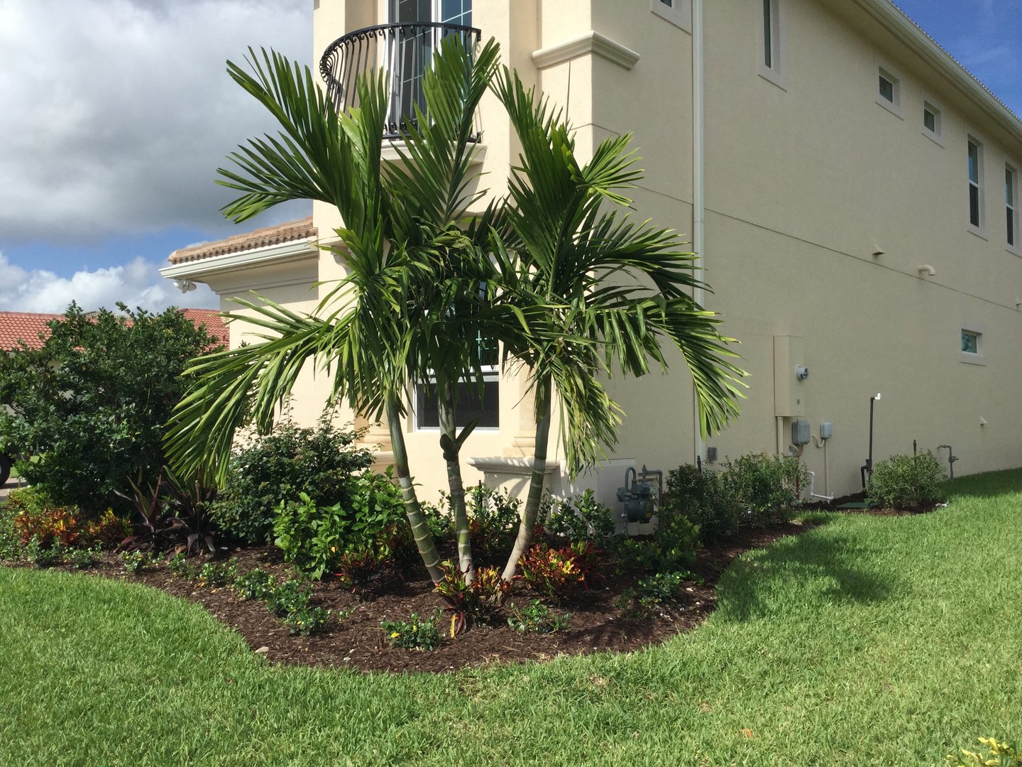 A well-maintained garden with a small palm tree and shrubs next to a beige two-story house on a sunny day.