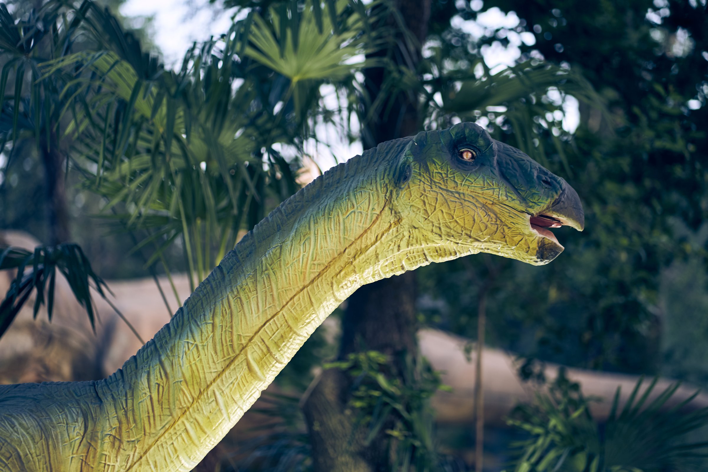 Dinosaur head close-up in the park. Giant Therizinosaurus on display in the park on a summer day in dense vegetation with space to copy. High quality photo