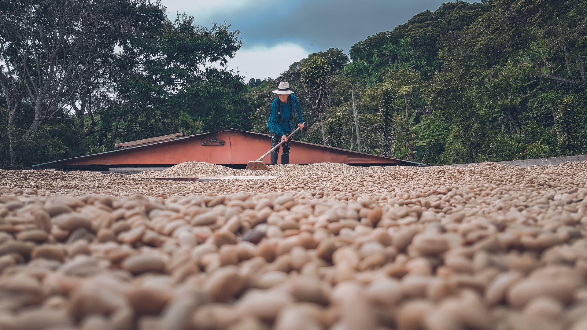 Paisaje del Eje Cafetero colombiano con montañas verdes