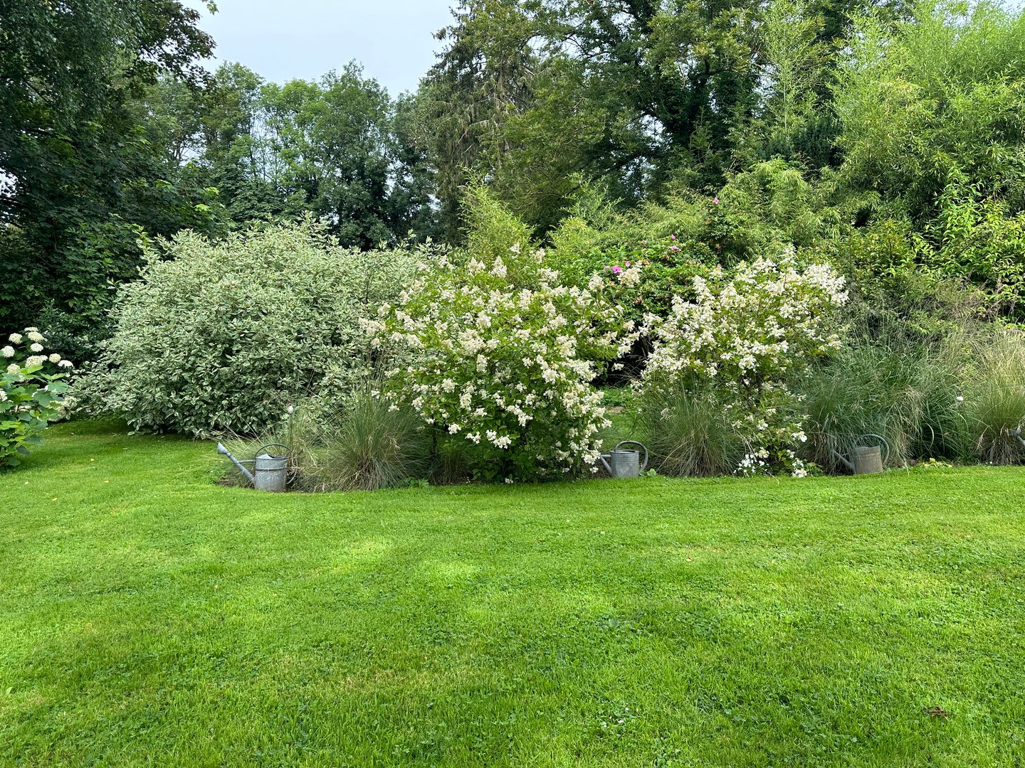 A well-maintained green lawn complements the vibrant flowers
