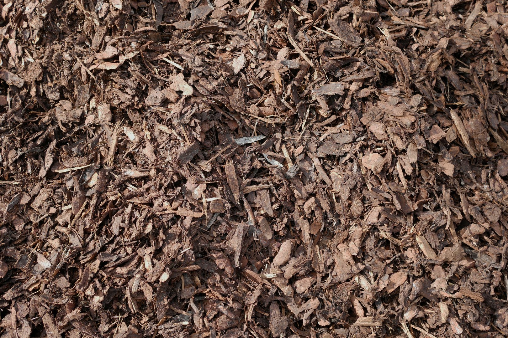 Bark mulch background texture close up. Natural fertilizer made of plant humus for soil enrichment.
