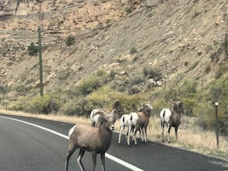 Stunning Western Colorado valley property in our service areas
