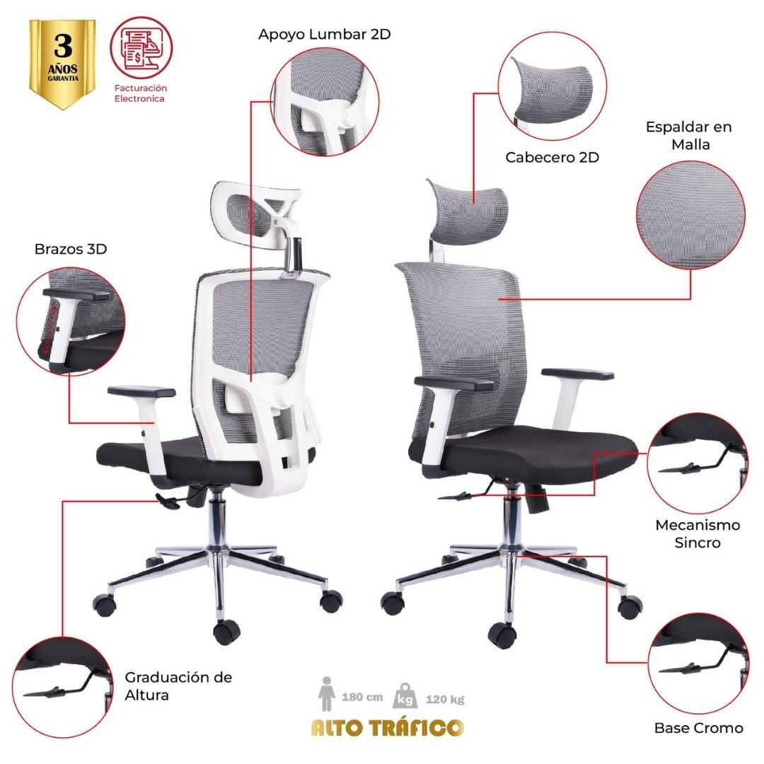 Infografía Silla Ergonómica CHARTA - Características y Beneficios