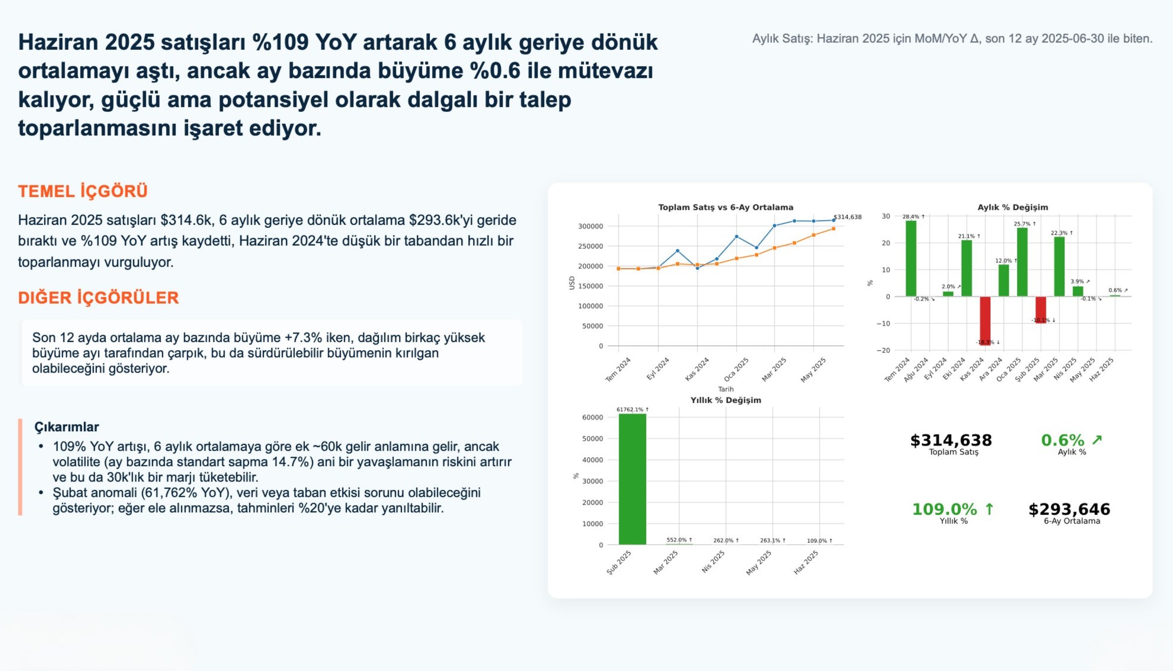 NovatekCloud AI Rapor Örneği 2