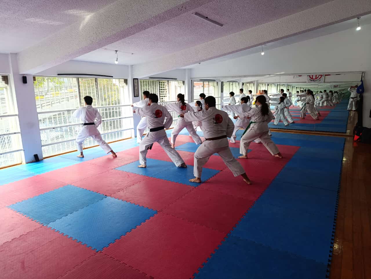 Dojo Image 27