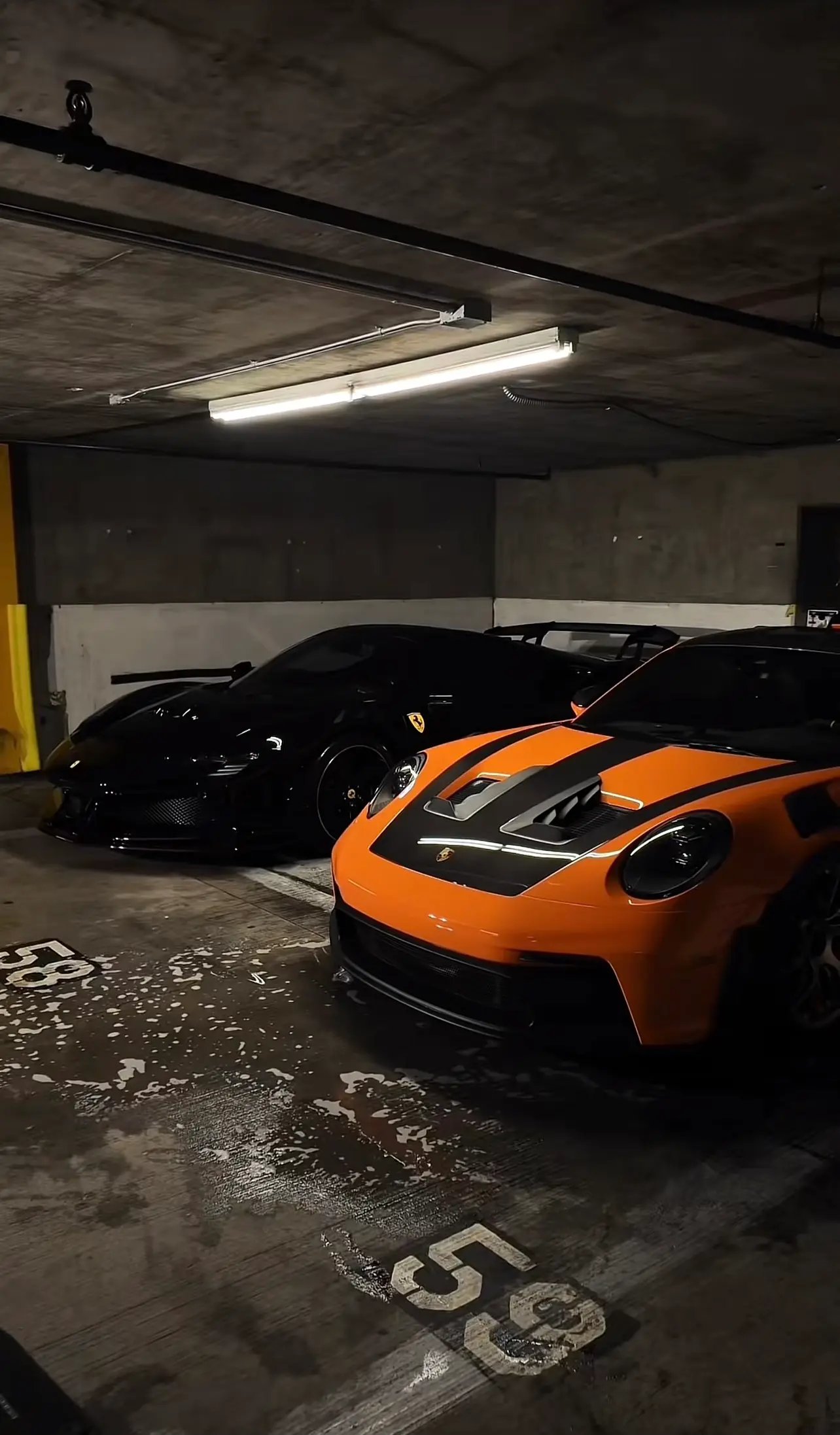 Customer review image 4