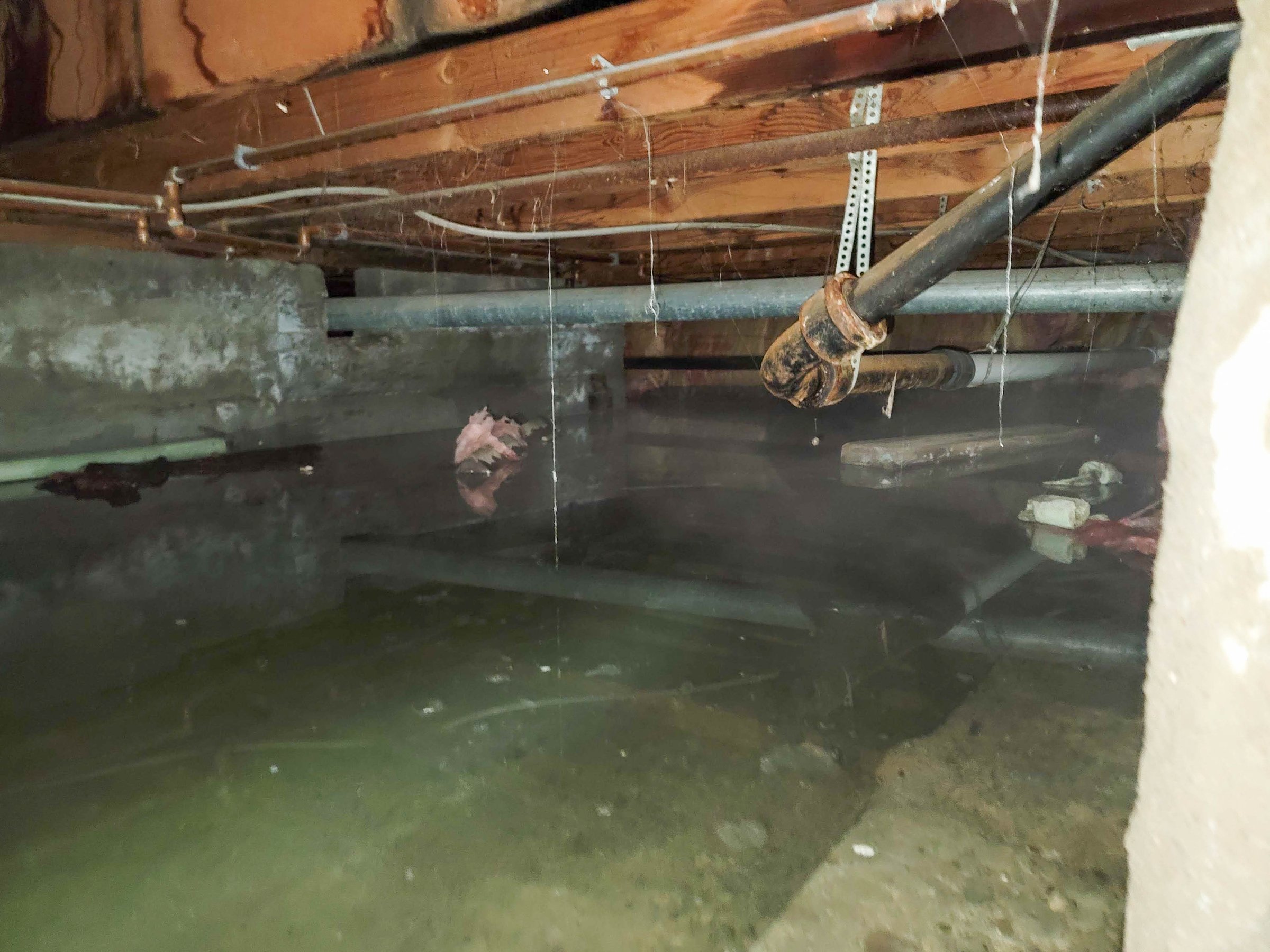Crawlspace full of water