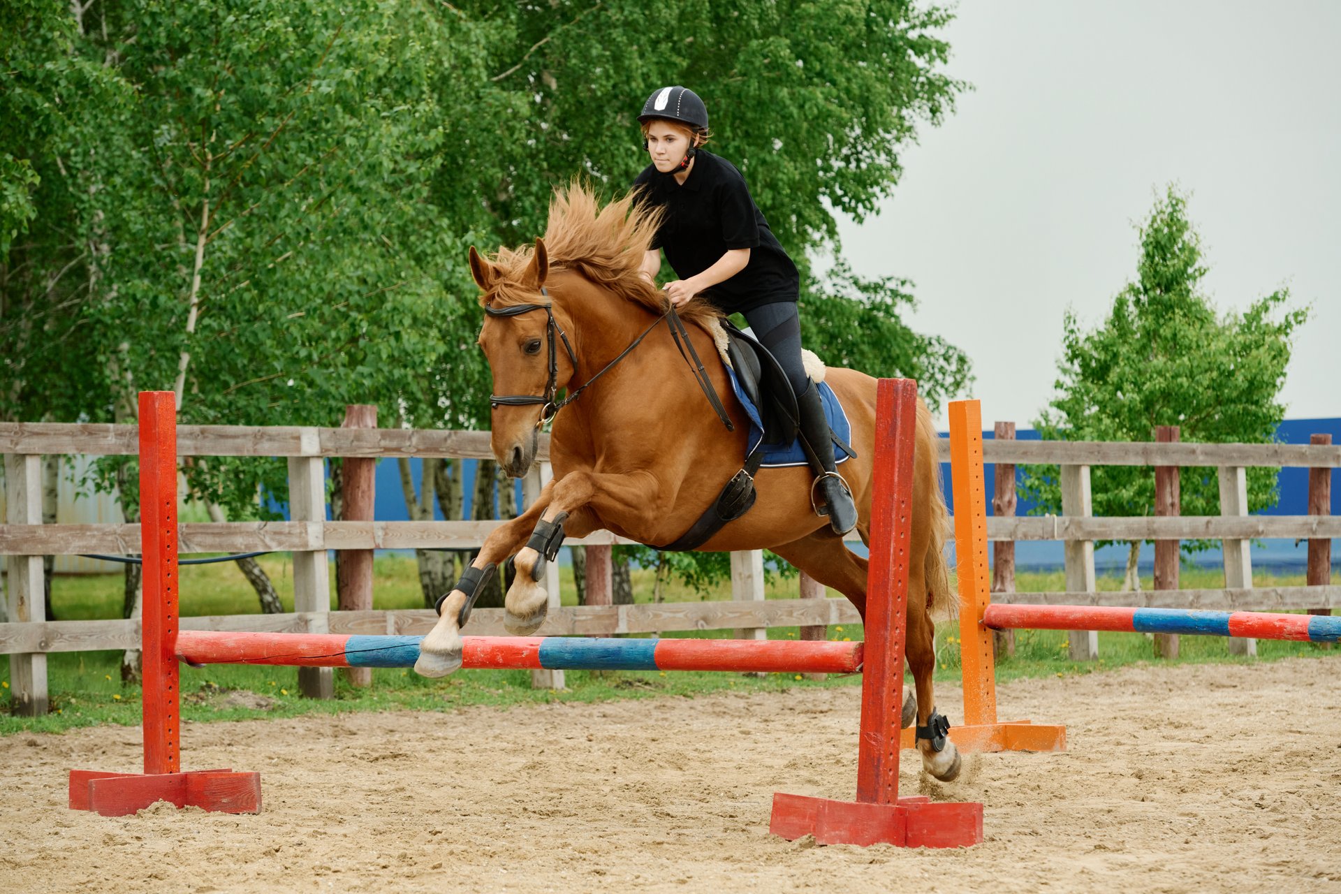 Cours de saut d'obstacles perfectionnement au Club Hippique du Tampon - CSO équitation La Réunion