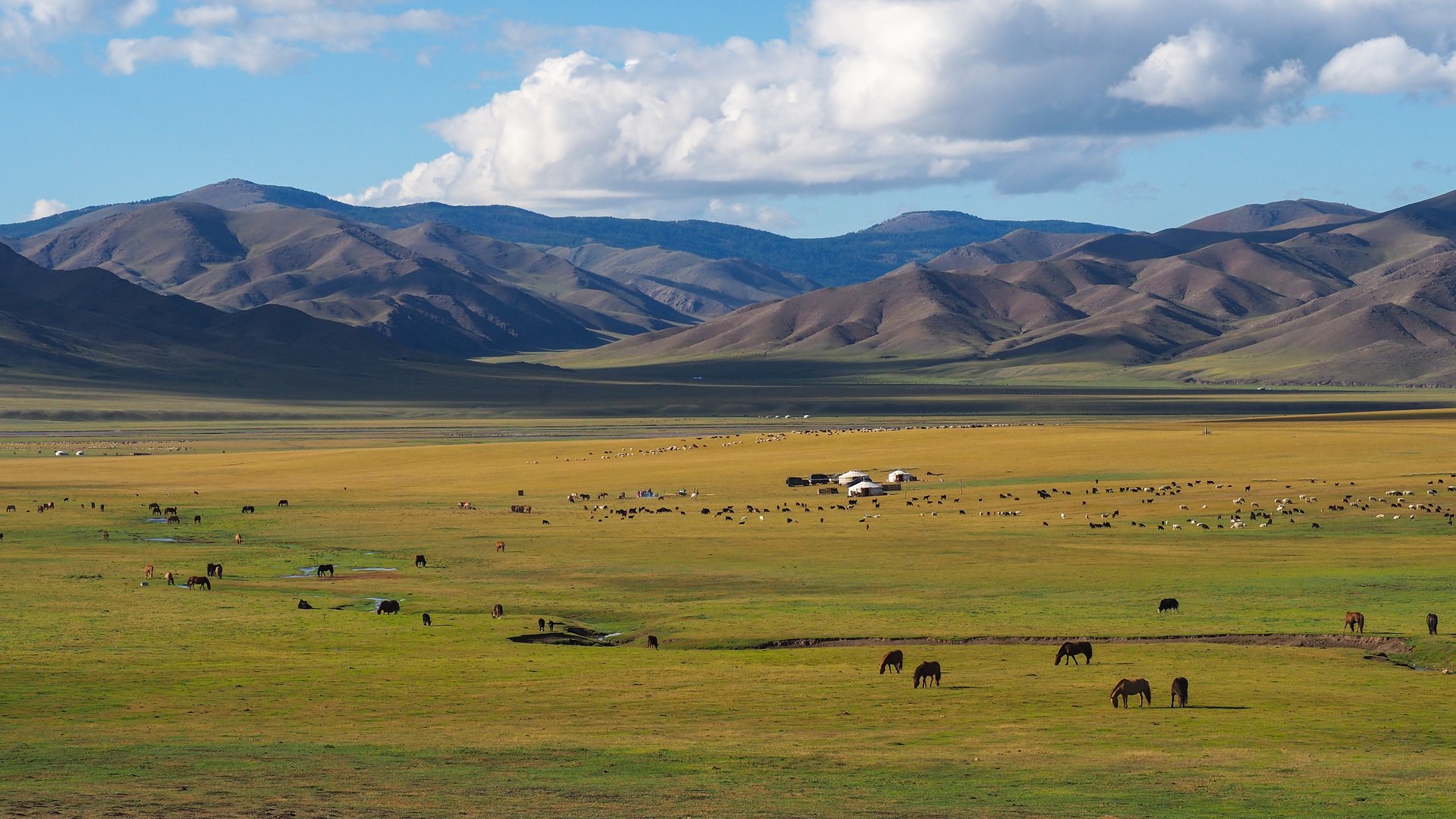 Montagnes de l'Altaï avec yourtes et chevaux