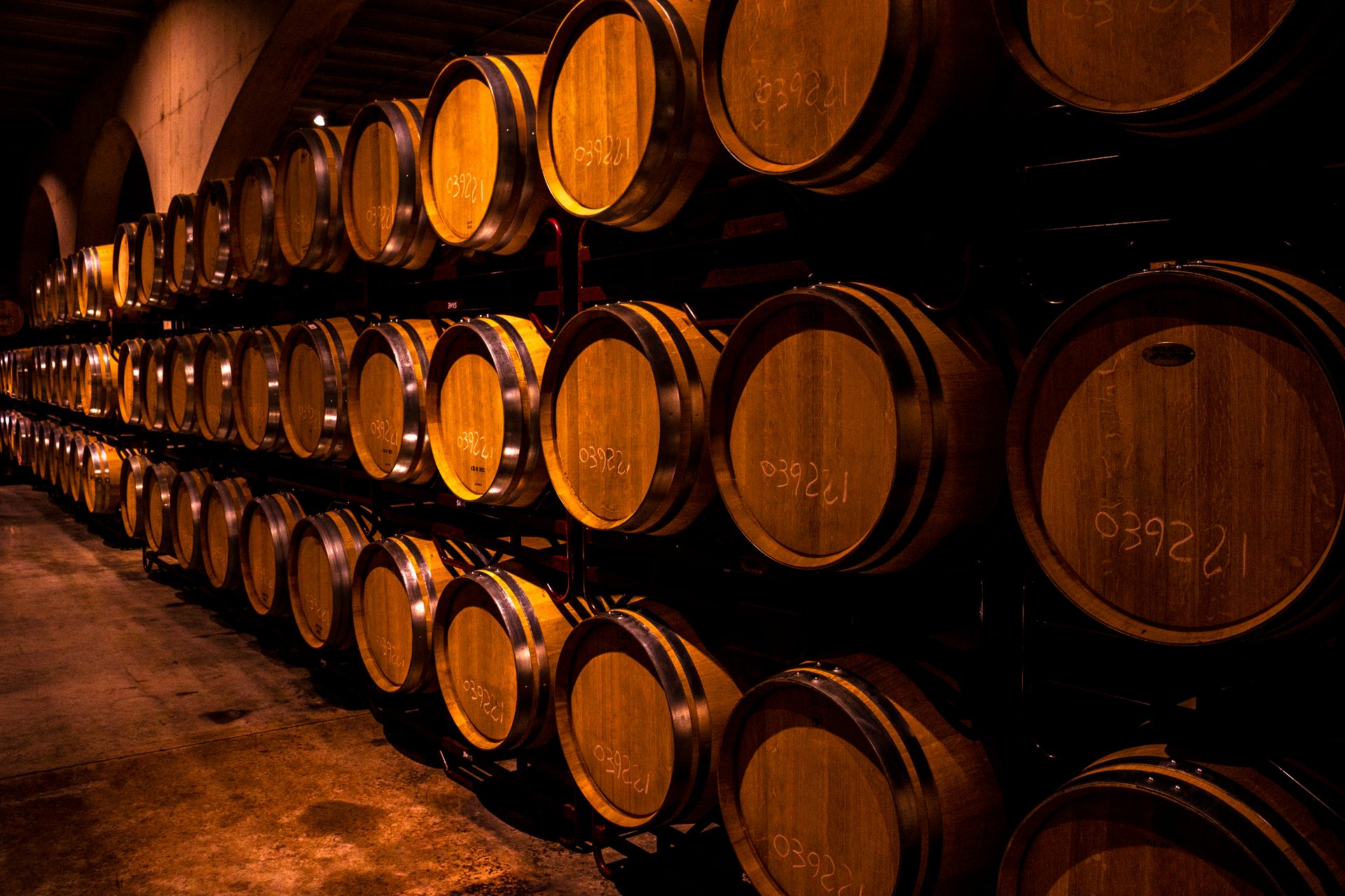 Cellar with barrels for storage of wine, Spain