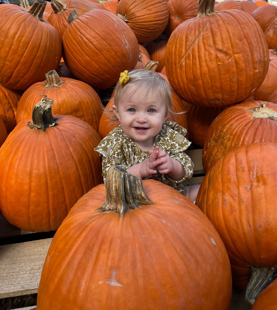 The Pumpkin Genie family team