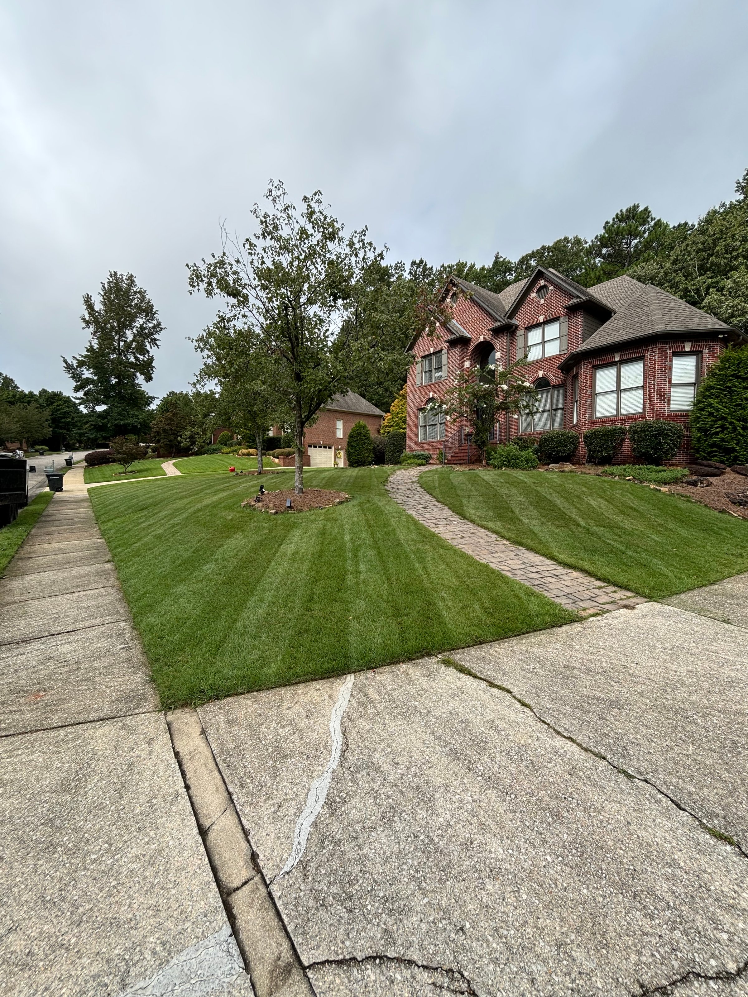 Quick and Affordable Lawn Care