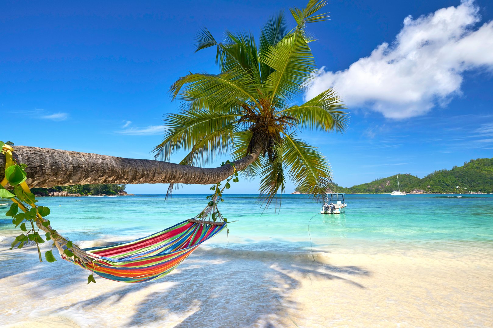 stunning palm beach with turquoise sea and colorful hammock on Seychelles island