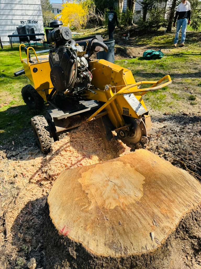 Stump grinding service
