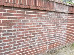 Efflorescence white salt deposits on surface