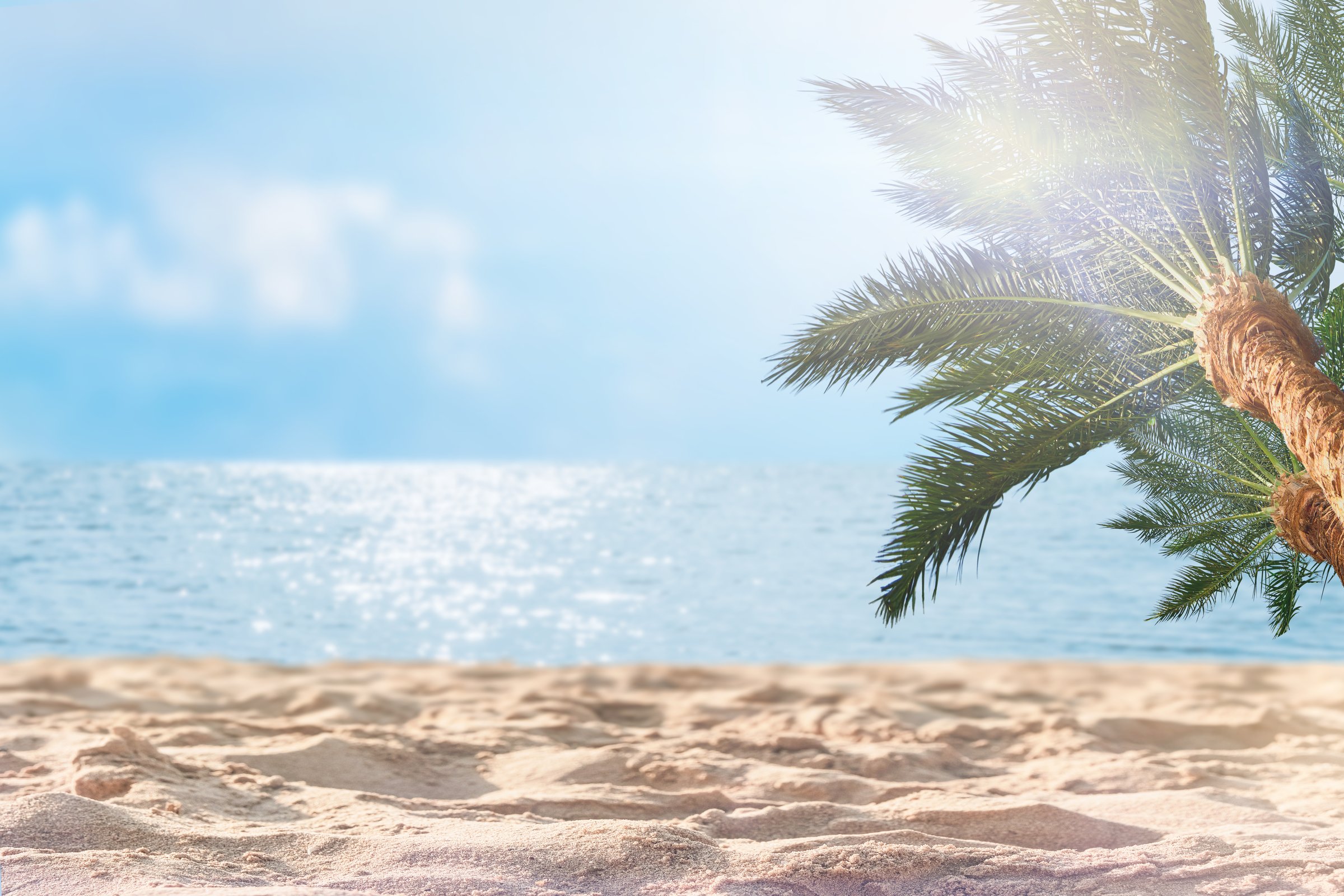 Tropical beach paradise