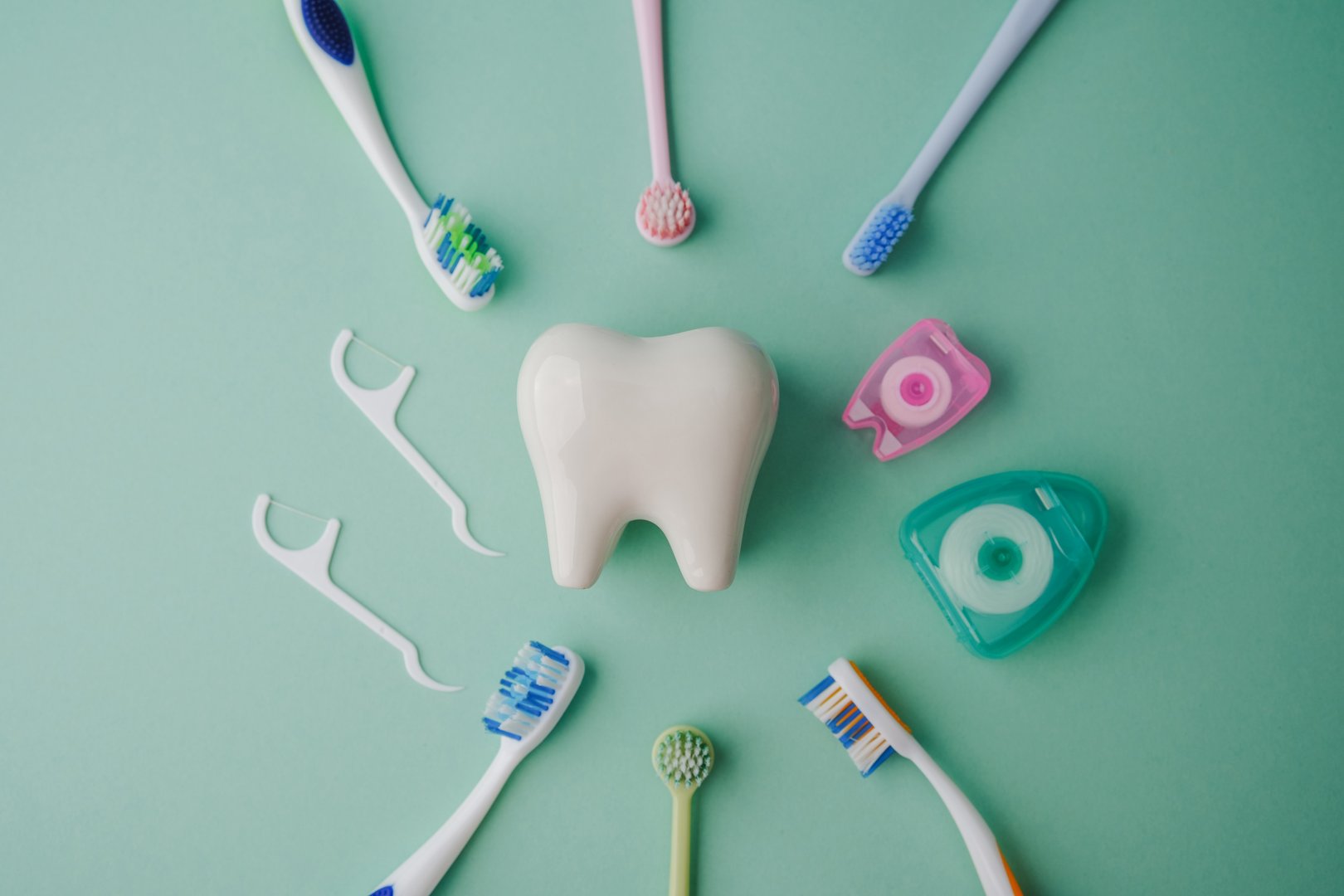 Modelo de diente con cepillos dentales