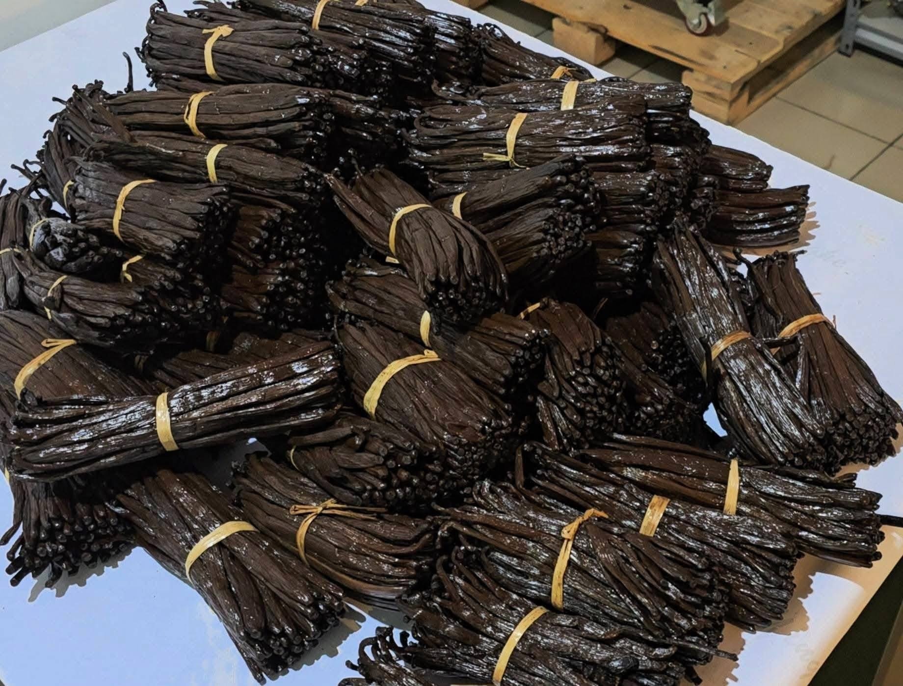 Vanilla Beans Drying Process