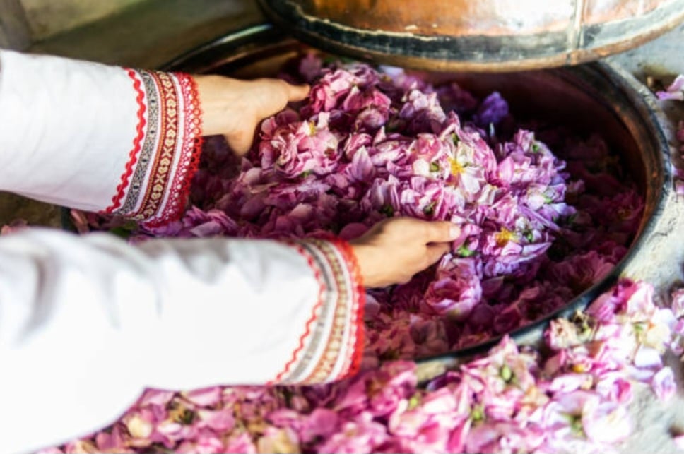 Essential oil dropper bottle