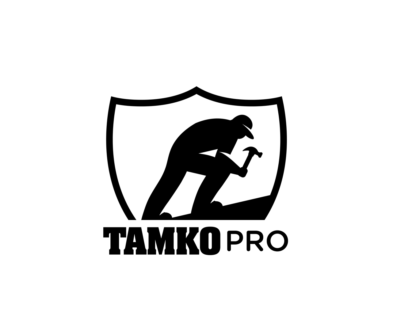 TAMKO Pro Diamond