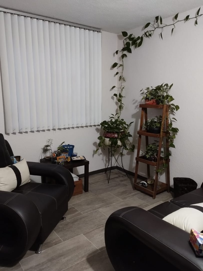 Cozy living room corner with dark leather chairs, a wooden plant stand, various potted plants, and vertical blinds on window.