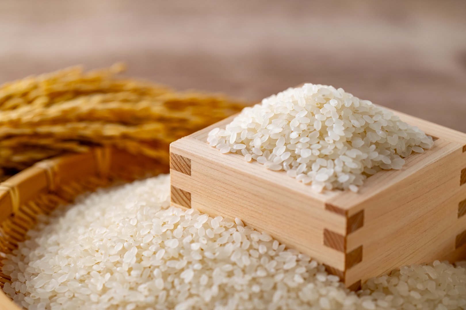 A close-up of Japanese white rice in a traditional wooden masu box, with golden rice stalks in the background.