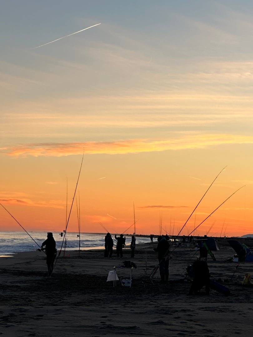 Only Fishing Creixell