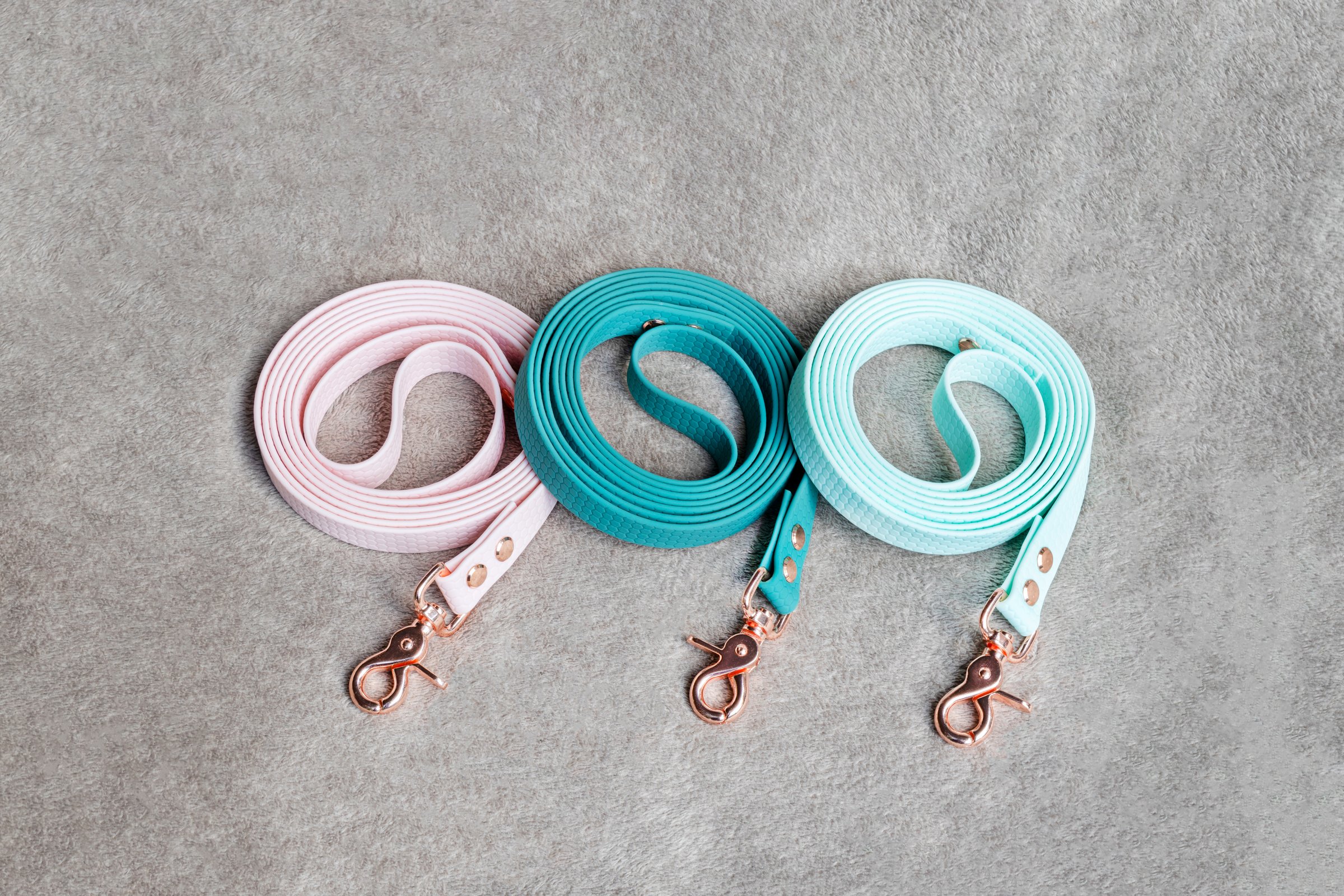 assortment of equipment for dogs, leashes for dogs isolated on a gray background