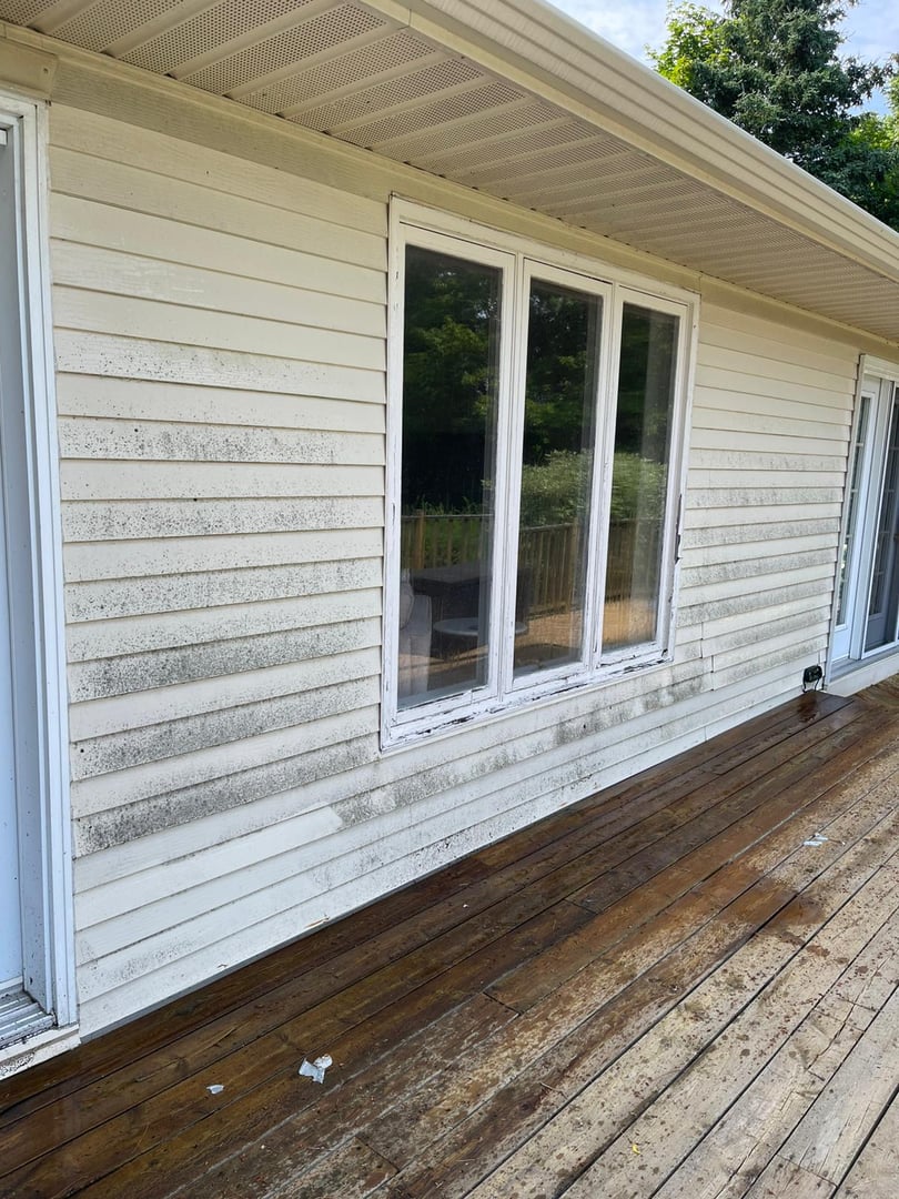 Before vinyl siding cleaning - dirty and stained siding