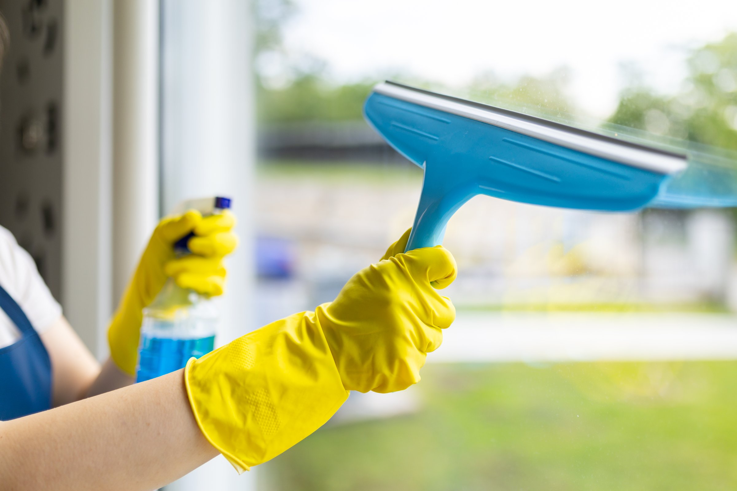A person is using a blue squeegee to clean a window, holding a spray cleaner in the other hand. Bright light streams in, highlighting the clean surface and vibrant surroundings.