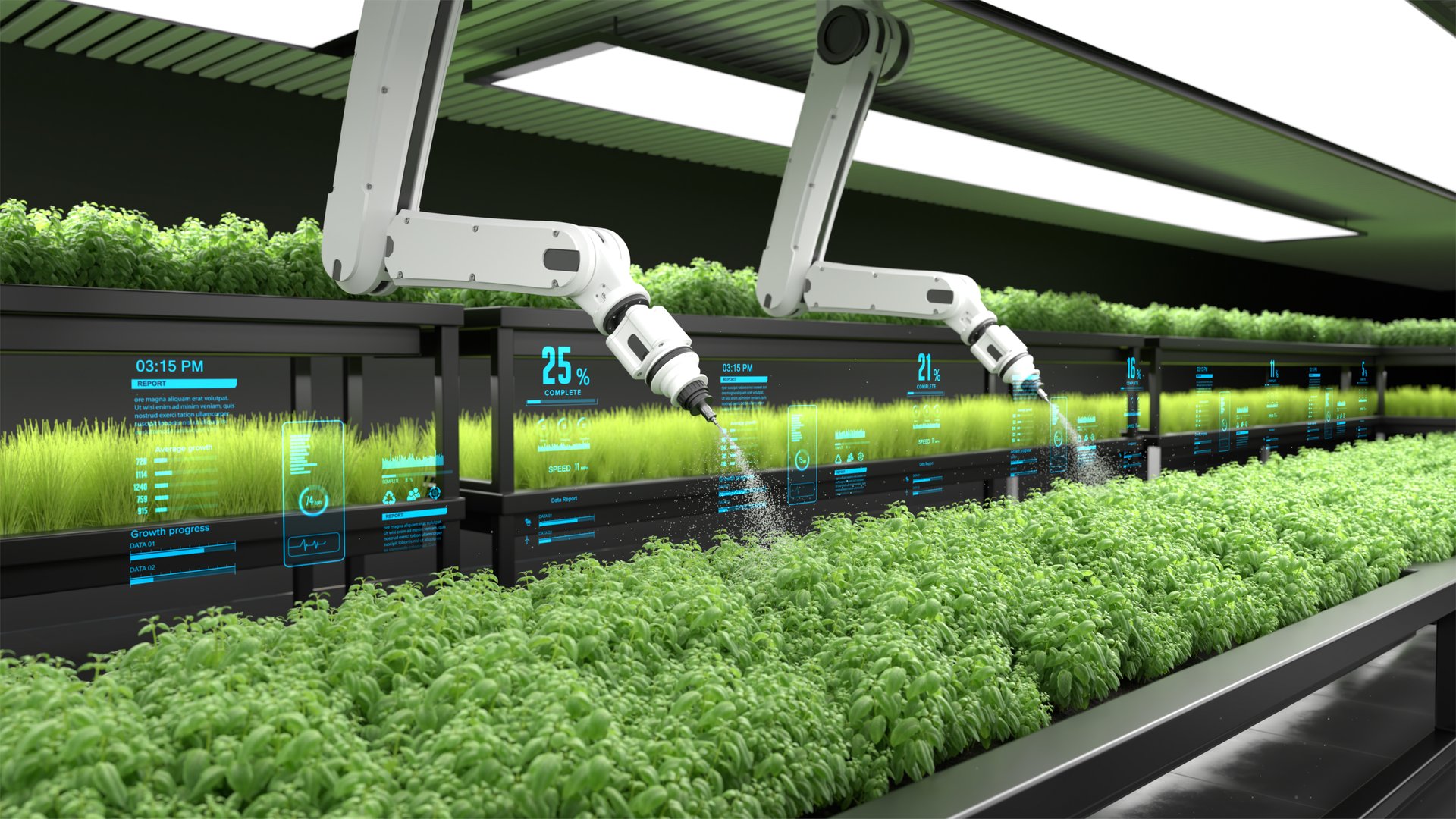 Smart robot farmers are working with digital display data, Agriculture technology, Farm automation. 3D illustration
