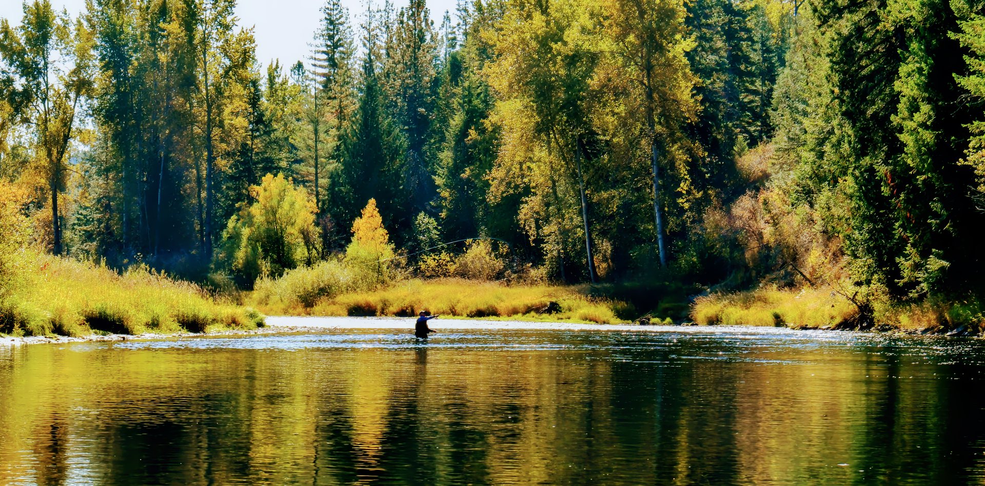 A solitary fly fisherman upstream in the river