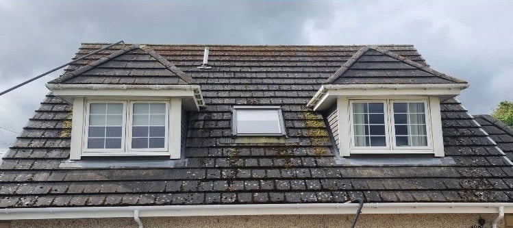 Roof before cleaning