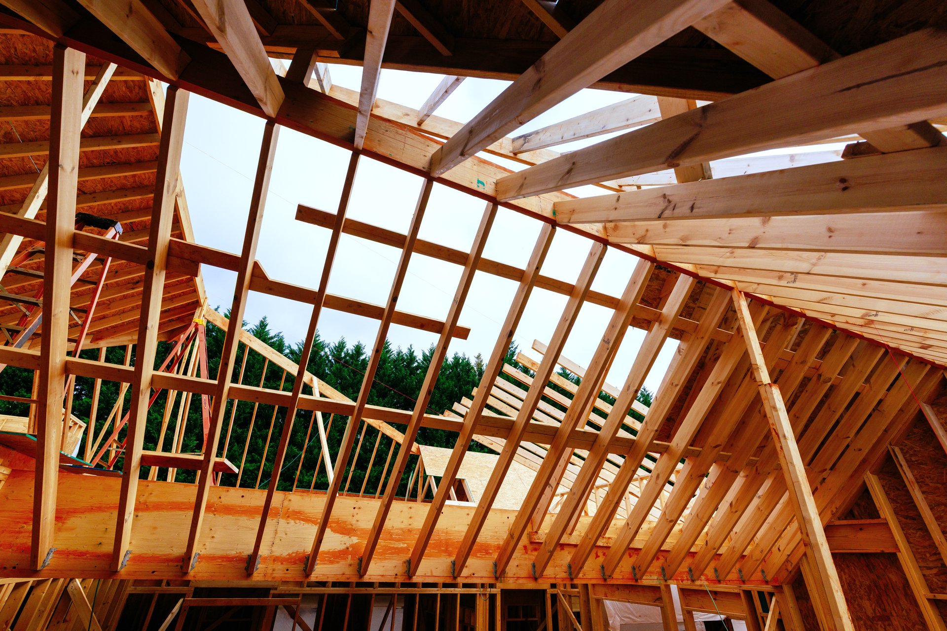 Workers are building wooden house frame, trusses roof supports studs joist overhead.