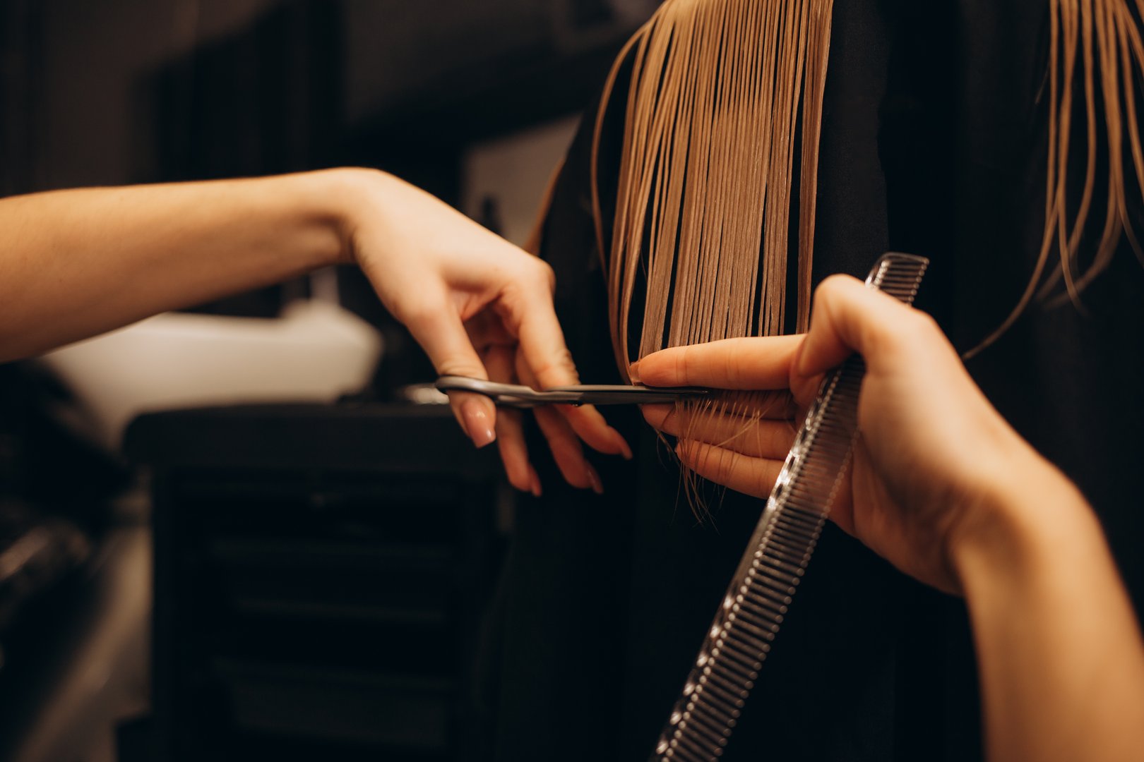 cutting hair in a beauty salon. High quality photo