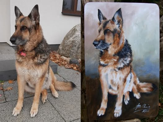 Zrealizowane zamówienie 20