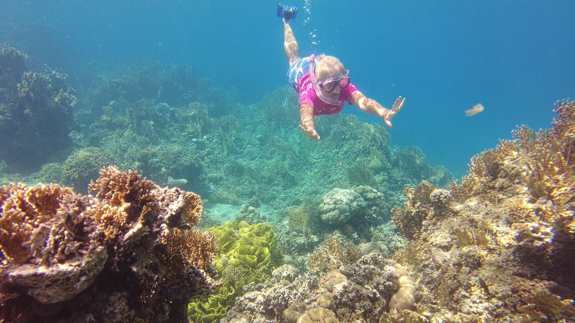 Woman snorkeling with vivid marine life at a coral reef dive site in the clear waters of Aqaba, Red Sea, Jordan