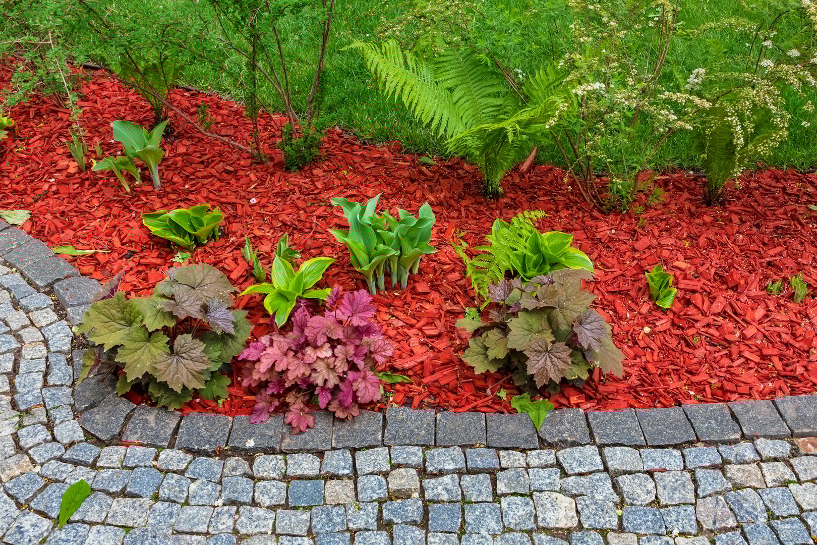 Flowerbed with red mulch under plants near stone path in garden. Landscaping close up