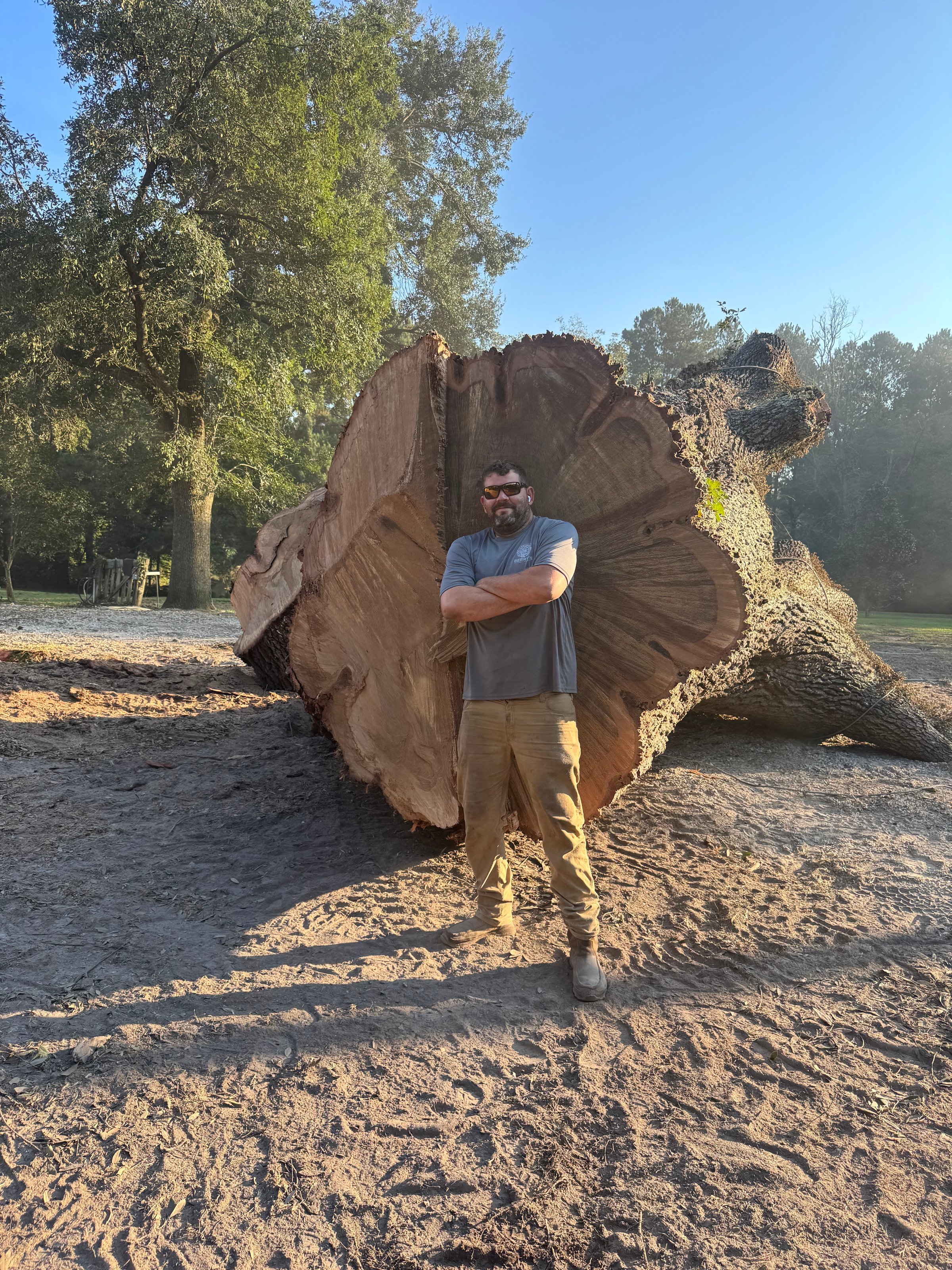 Barry standing next to massive tree showing the scale of tree removal work