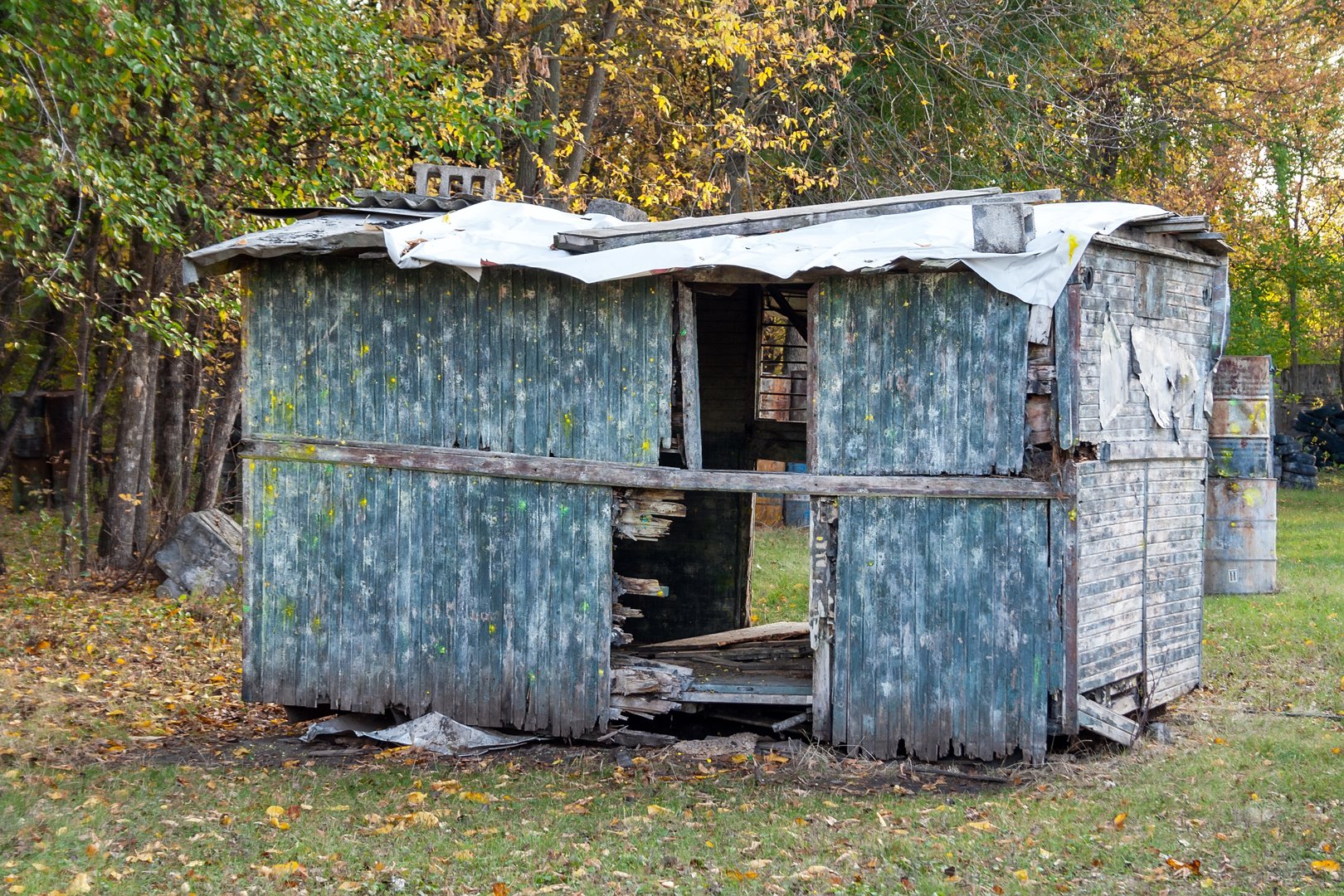 A rickety wooden shed of old boards with holes in the walls and with spots of yellow paint is standing on the grass in the forest. Shelter at the tactical paintball playground.