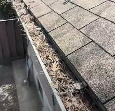 A gutter filled with dried leaves and debris next to a shingled roof, indicating a need for cleaning.